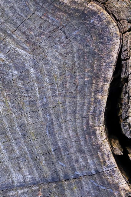 Natural Wood Grain Texture